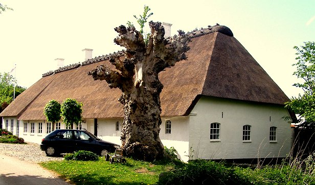 2011