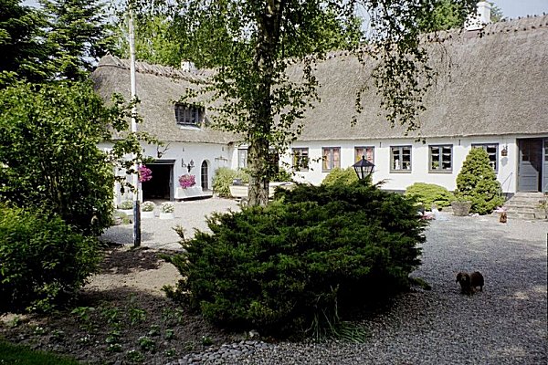 2003