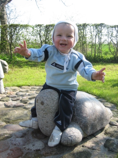 skildpadde